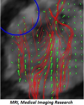 Medical Imaging